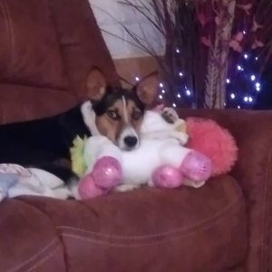 Meet your Posher, Michele